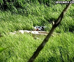 Spy on a nude girl sunbathing in a field